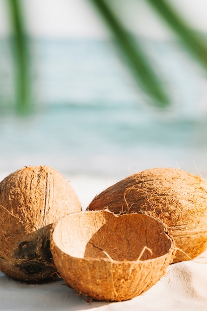 Free Photo beach background with coconut