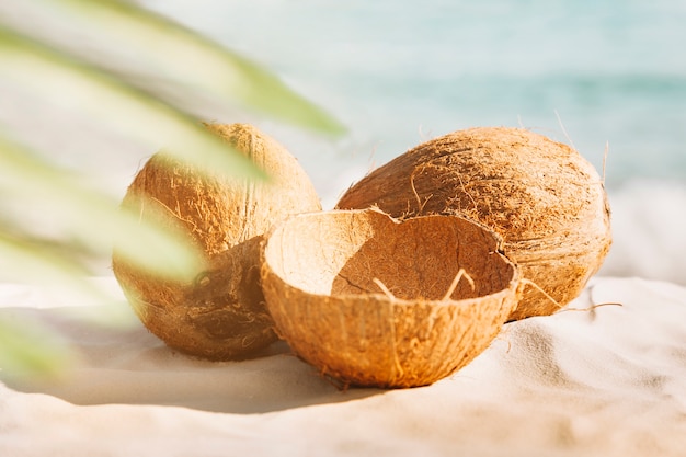 Free photo beach background with coconuts and palm tree leaf