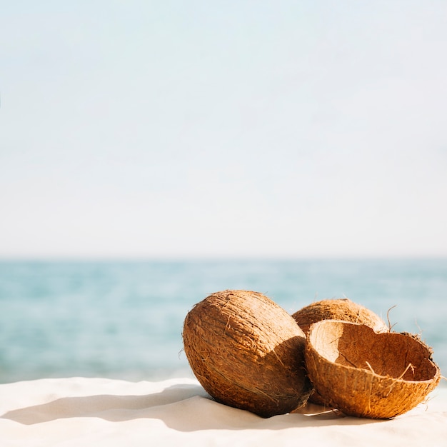 Free photo beach background with coconuts