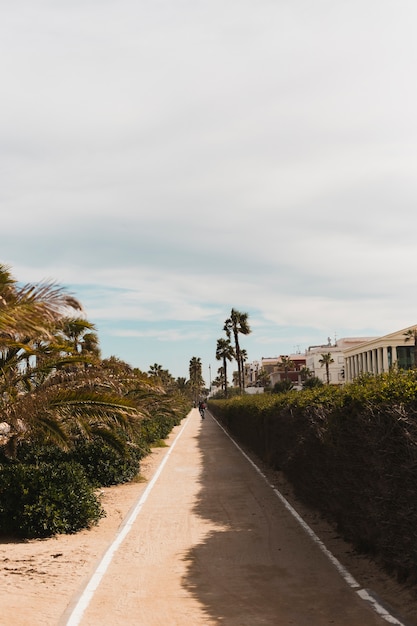 Beach concept with pathway