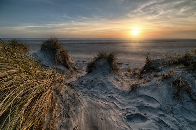 Beach covered in the grass surrounded by the sea during the sunset - perfect for wallpapers