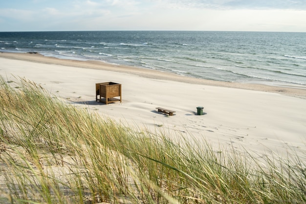 Free Photo beach covered in grass with wooden benches on it surrounded by the sea under sunlight