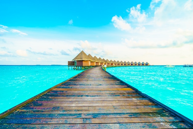 Free Photo beach green outdoors blue sea