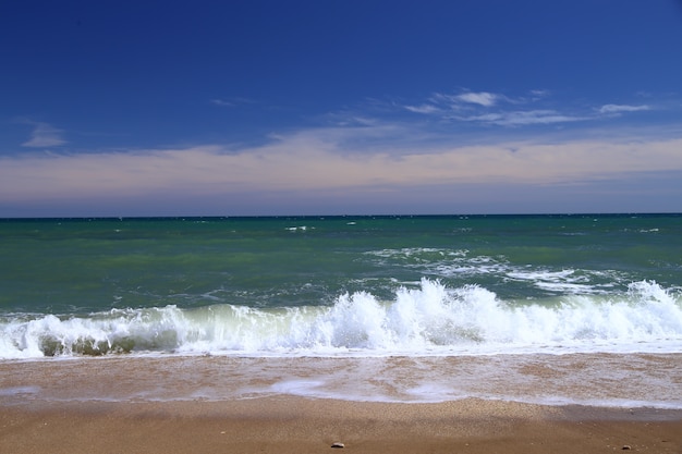 beach landscape