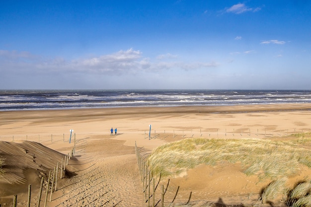 beach landscape