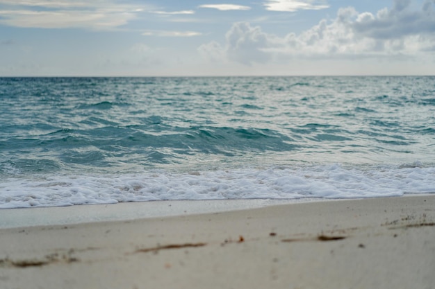 Free Photo beach miami florida usa, coastline