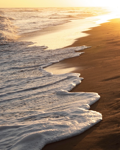 Free photo beach sand next to the peaceful ocean