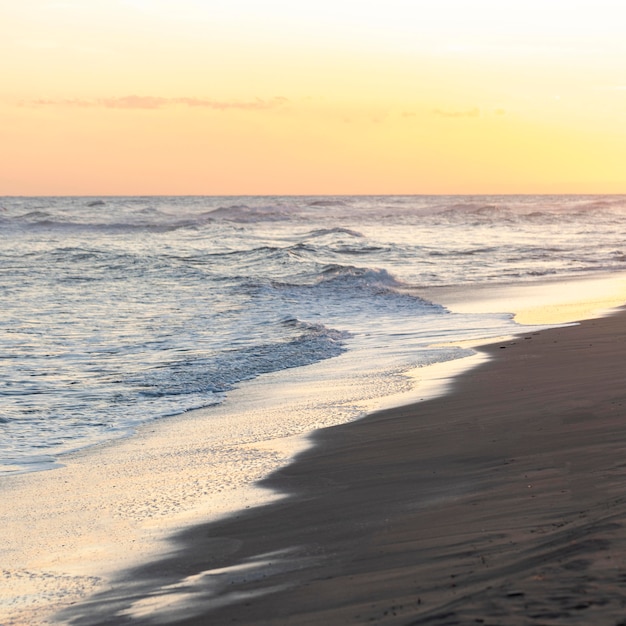 Beach sand next to the peaceful ocean