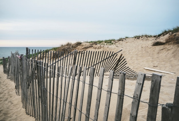 Free Photo beach sand view