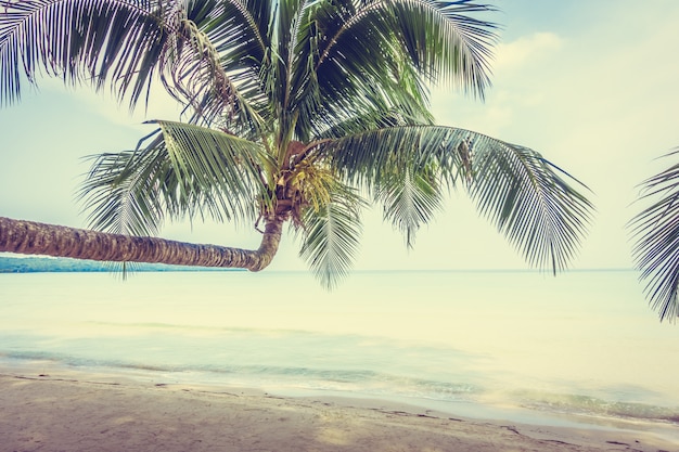 Beach and sea