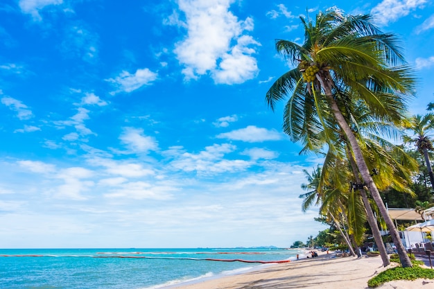 Beach and sea