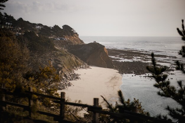 beach shore during daytime