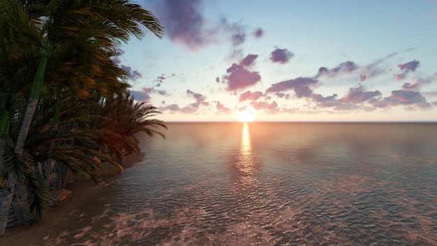 Beach at sunset with a tree