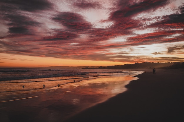 Beach surrounded by the sea under a cloudy sky during the sunset in Brighton in New Zealand