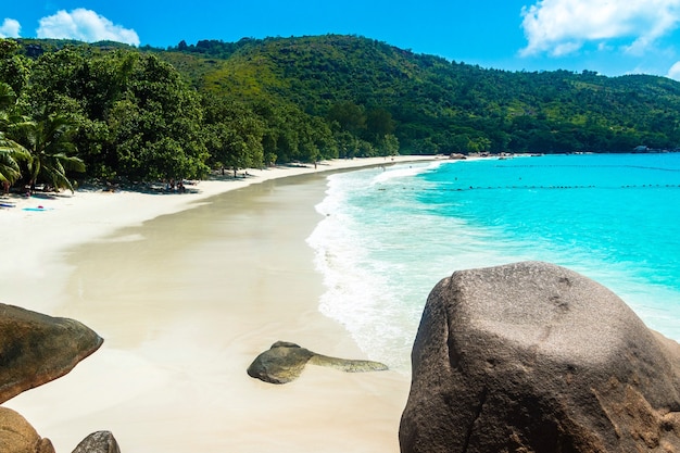 Free photo beach surrounded by the sea and greenery under the sunlight and a blue sky in praslin in seychelles