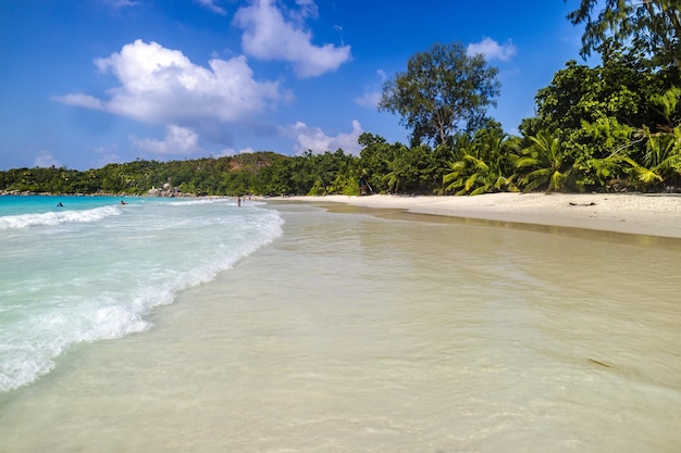 Free Photo beach surrounded by the sea and greenery under the sunlight and a blue sky in praslin in seychelles