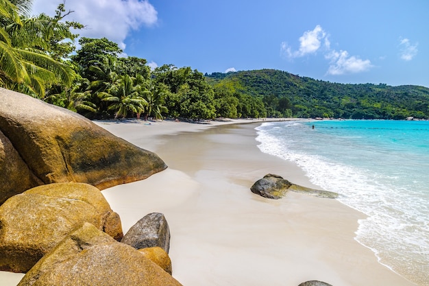 Free photo beach surrounded by the sea and greenery under the sunlight and a blue sky in praslin in seychelles