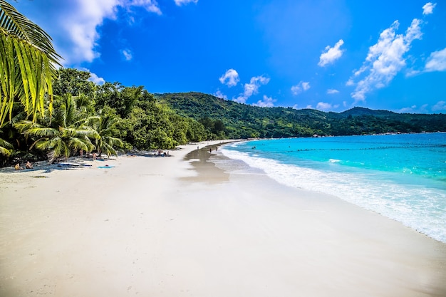 Beach surrounded by the sea and greenery under the sunlight and a blue sky in Praslin in Seychelles