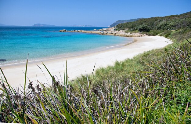 Free Photo beach surrounded by the sea and greenery under the sunlight and a blue sky