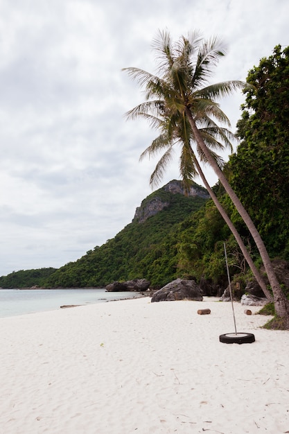 Free photo beach on tropical island. clear blue water, sand, clouds.