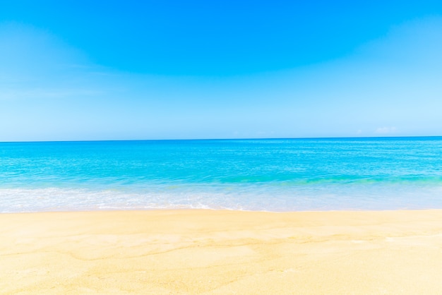 Free Photo beach with smooth sand and without stones