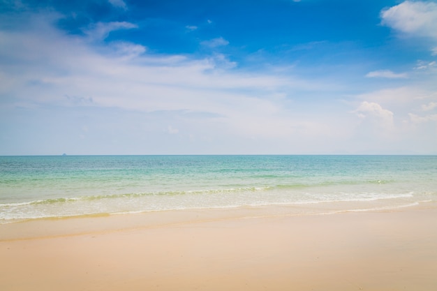 Free photo beach with water without waves