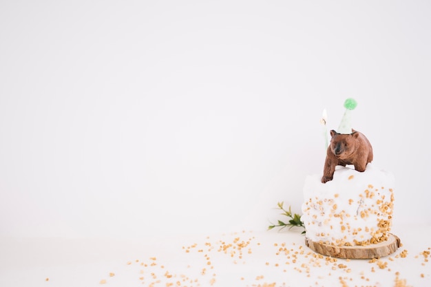 Bear in party hat on cake