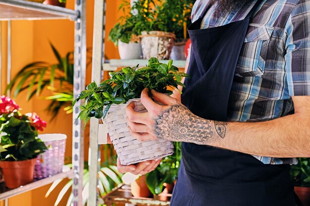 Bearded male with tattooed arms holds a pot with flowers.