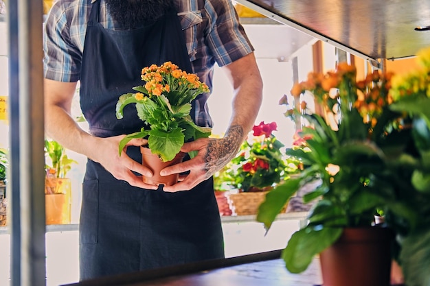 Bearded male with tattooed arms holds a pot with flowers.