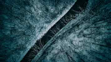 Free photo beautiful aerial overhead shot of a narrow road between trees during winter