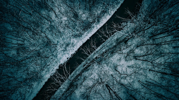 Free Photo beautiful aerial overhead shot of a narrow road between trees during winter