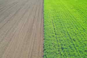 Free photo beautiful aerial shot of a green agricultural field