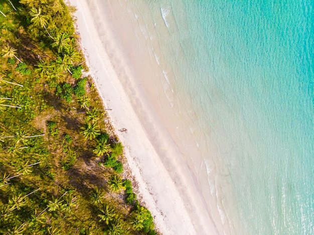 Beautiful Aerial view of beach and sea with coconut palm tree