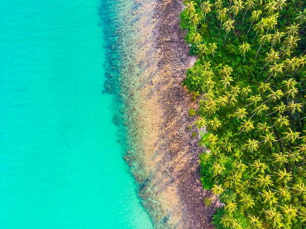 Free photo beautiful aerial view of beach and sea with coconut palm tree