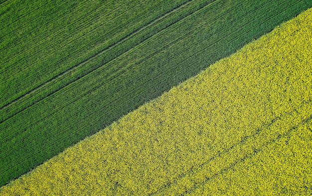 Free photo beautiful agricultural half green half yellow grass field shot with a drone