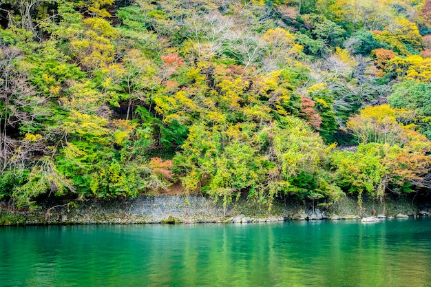 Beautiful Arashiyama river with maple leaf tree and boat around lake