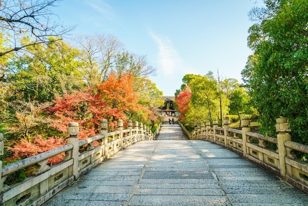 Beautiful Architecture in Kiyomizu-dera Temple Kyoto, Japan