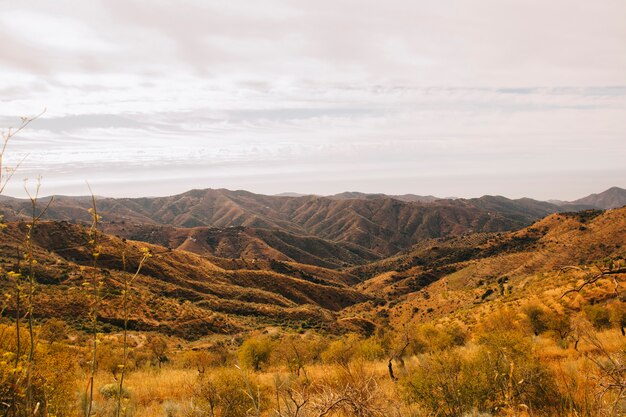 Beautiful autumn landscape