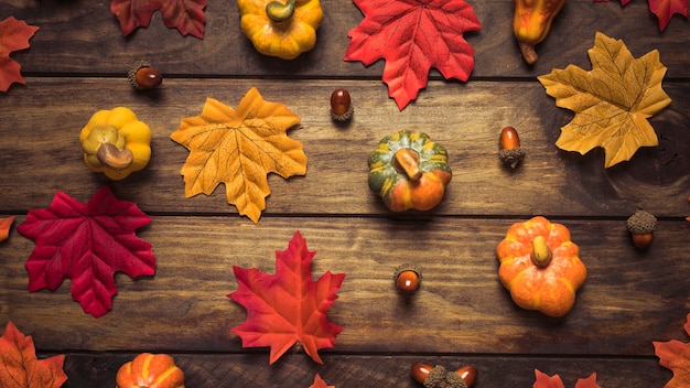 Free photo beautiful autumn leaves, acorns and pumpkins set