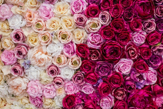 beautiful background roses for valentine´s day