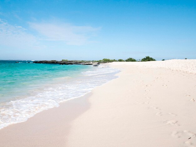 Beautiful beach at the Galápagos Islands, Ecuador