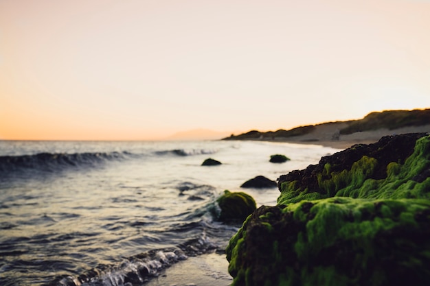 Free Photo beautiful beach scene at sunset