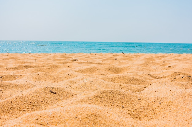 Beautiful beach and sea with palm tree