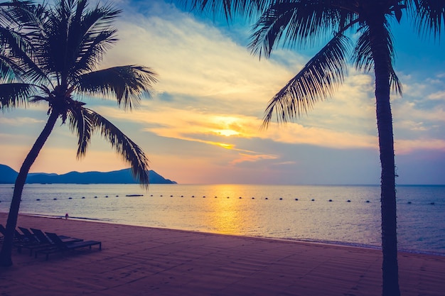 Beautiful beach and sea with palm tree