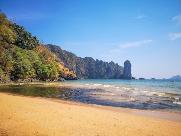 Beautiful beach during sunny summer day