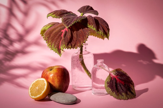 Beautiful bicolor plant details