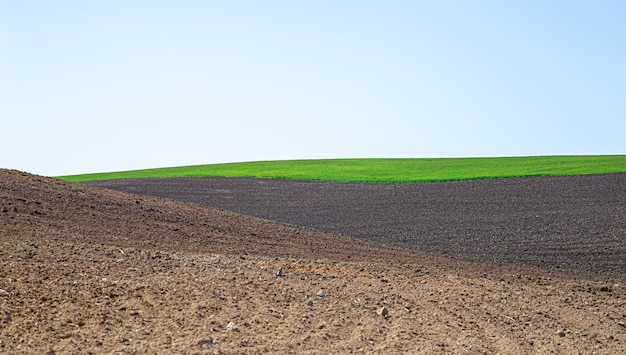 Beautiful black earth fields in Ukraine. Agricultural rural landscape