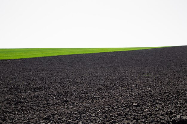 Beautiful black earth fields in Ukraine. Agricultural rural landscape