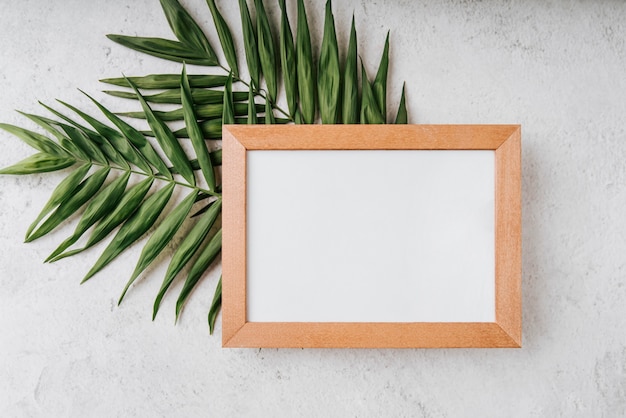 Free photo beautiful blank frame concept