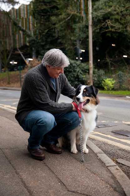 Beautiful border collie dog training with owner